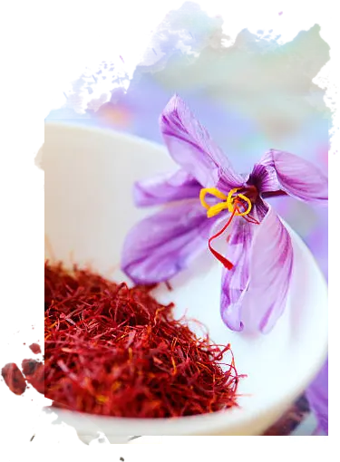 Italian Saffron - Natural Red Gold